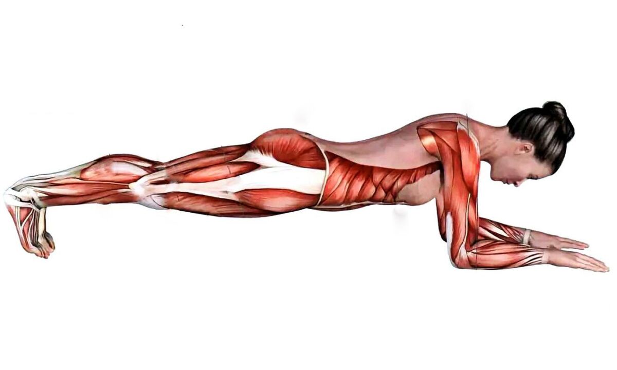 Qué músculos trabajan durante la plancha